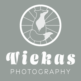 Viekas Photography